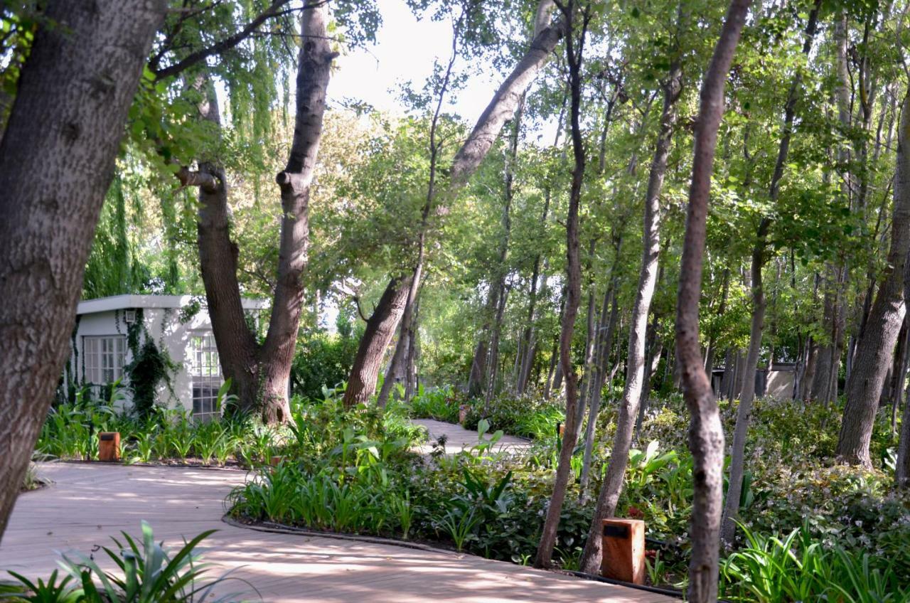 Hotel La Paris Estate Franschhoek Zewnętrze zdjęcie